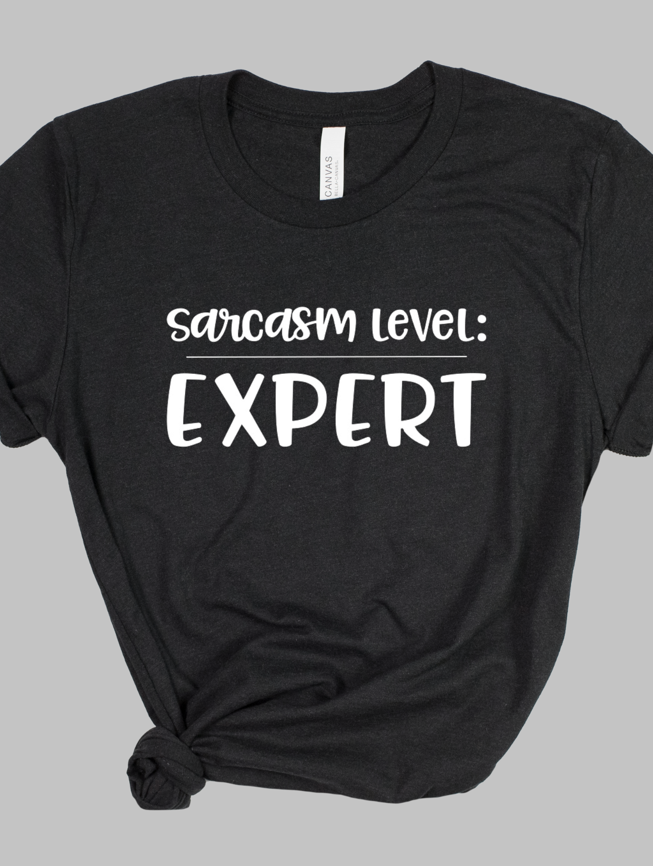 Sarcasm Level: Expert - Adult T-shirt