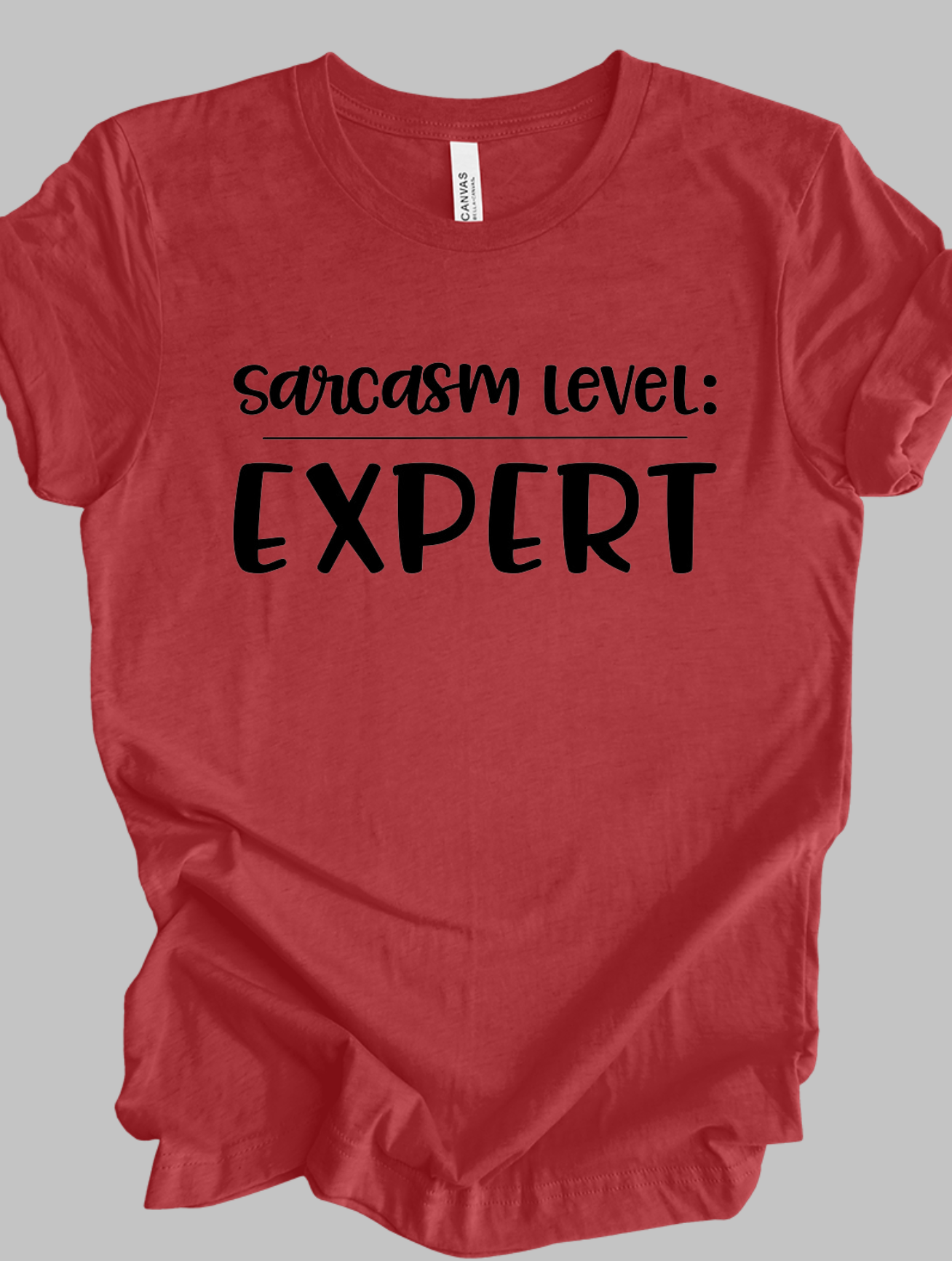 Sarcasm Level: Expert - Adult T-shirt