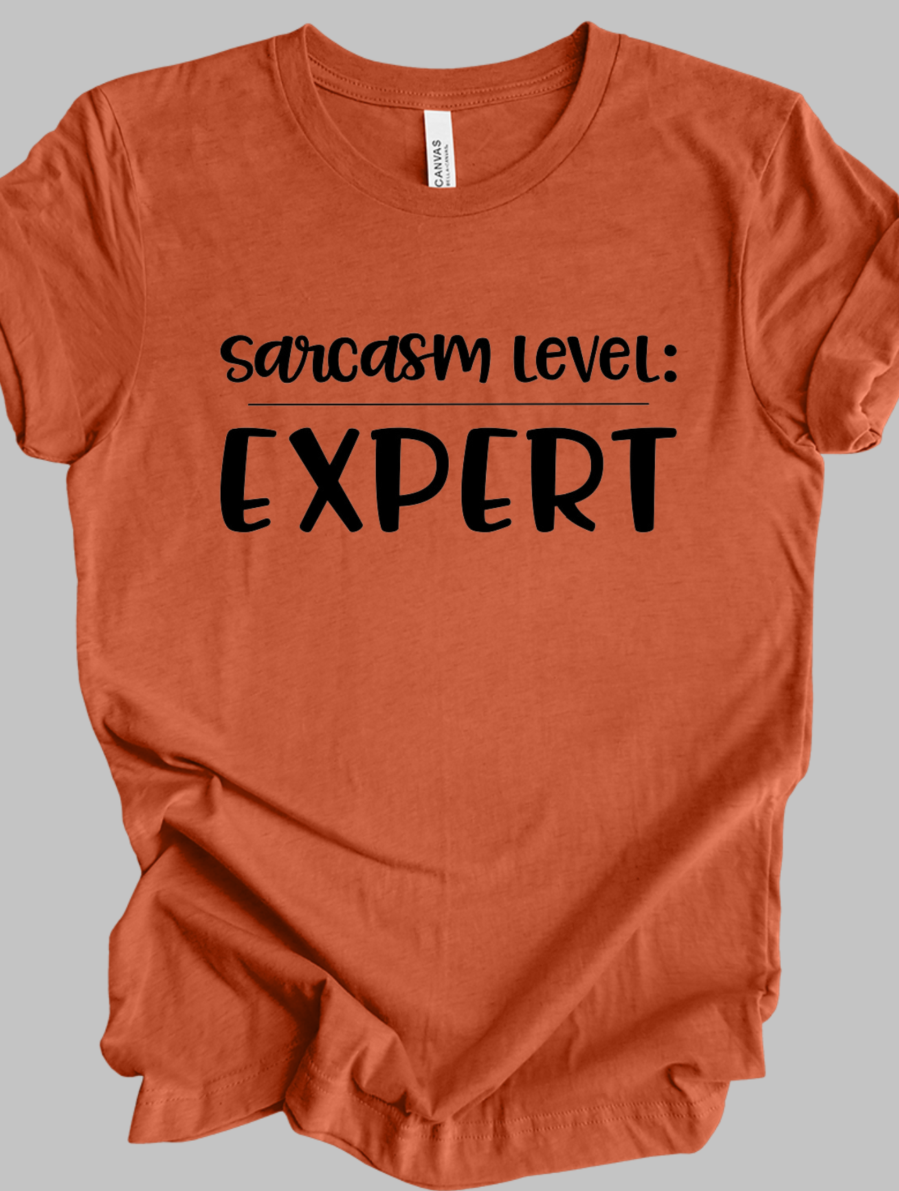 Sarcasm Level: Expert - Adult T-shirt